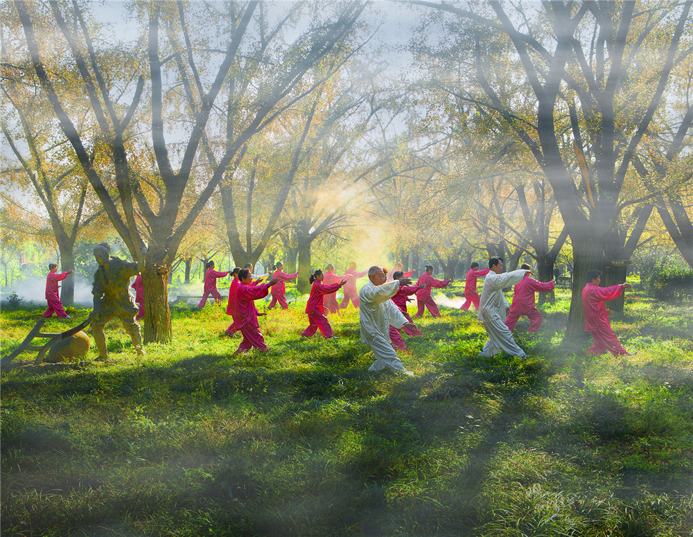《给力》+徐义+2014年摄于泰兴宣堡银杏公园+当日泰兴市民在银杏公园进行晨练.jpg