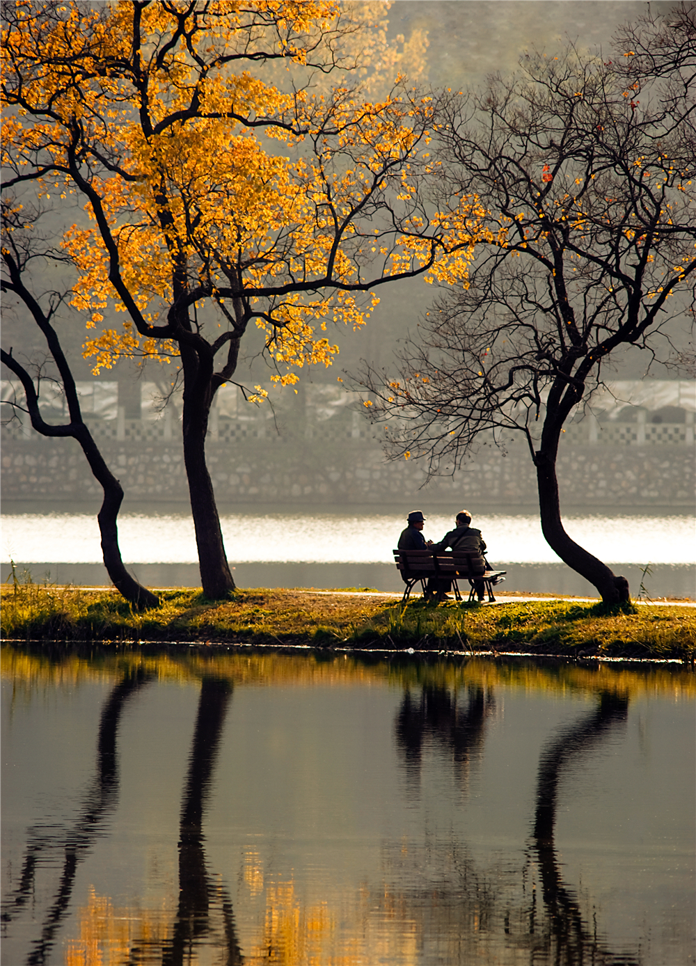 《秋思》胡莹莹摄于南京前湖.jpg