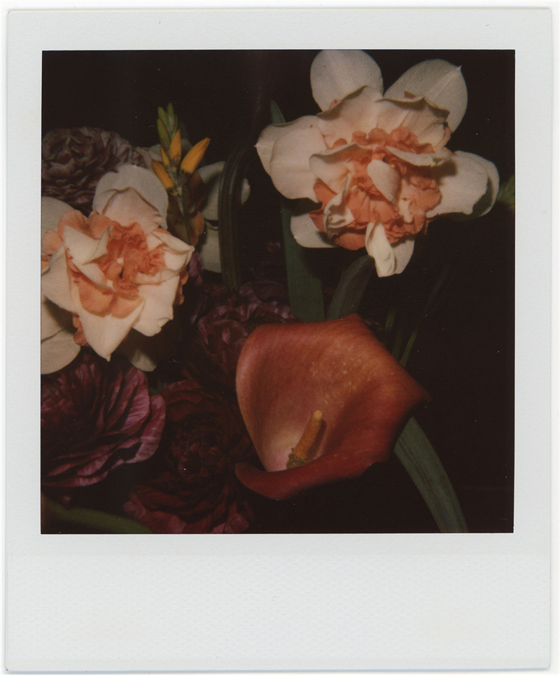 去南艺美术馆 看荒木经惟的"花"