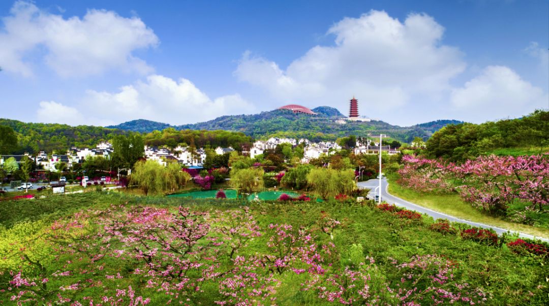 《丰收的喜悦》 射阳县临海镇兴盛村4组村民周仁凤家喜获丰收 吉东