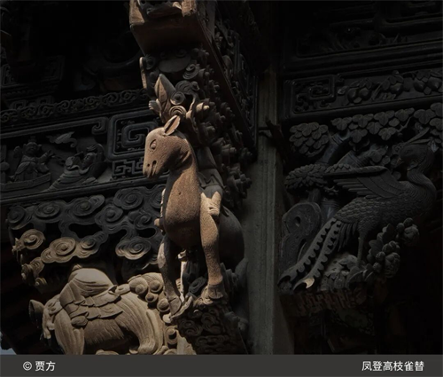 图片18
