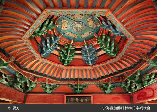 图片17