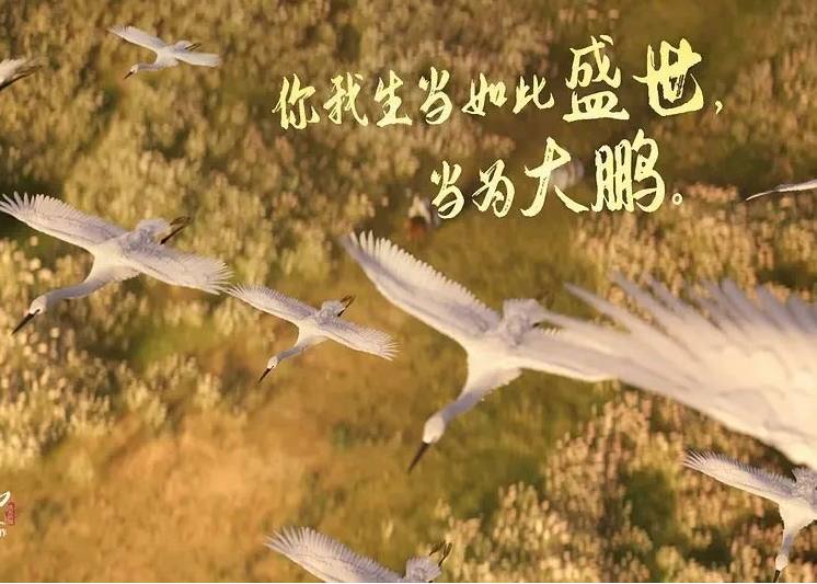 QQ截图20230803162041.png