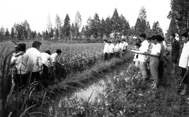 《历史见证》——《兴高采烈分“大田”》 王林山 摄.jpg