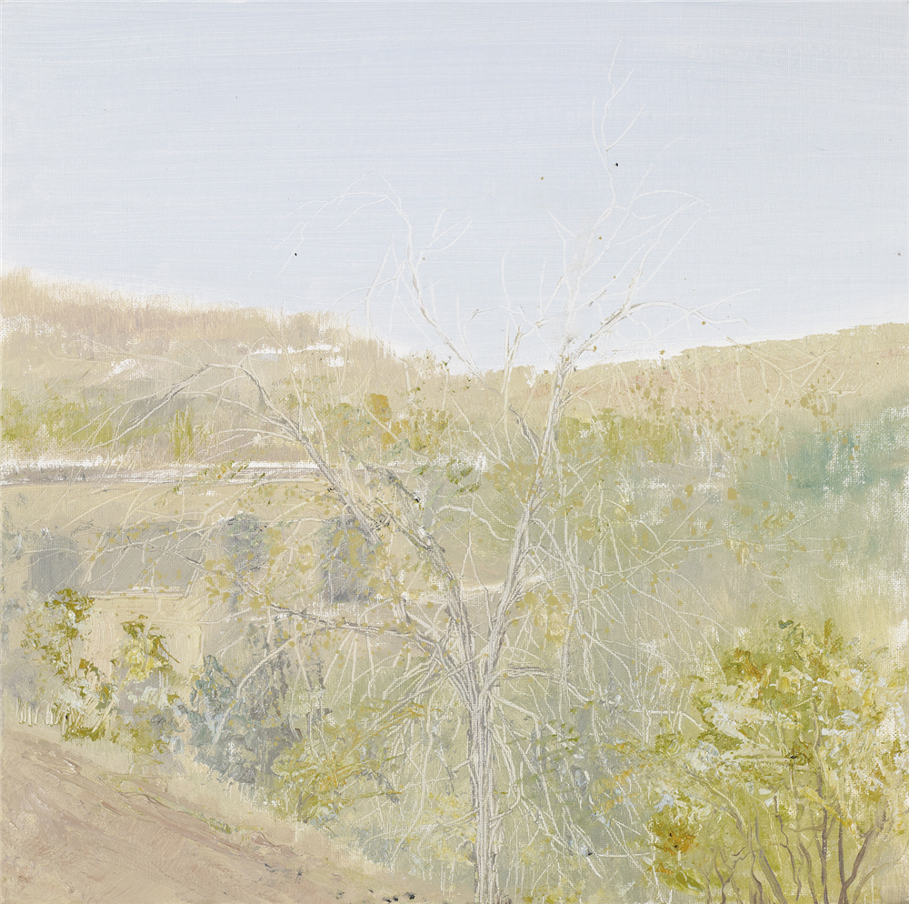 郭丽 陕北印象系列二 2018年 布面油画 40cm×40cm.jpg