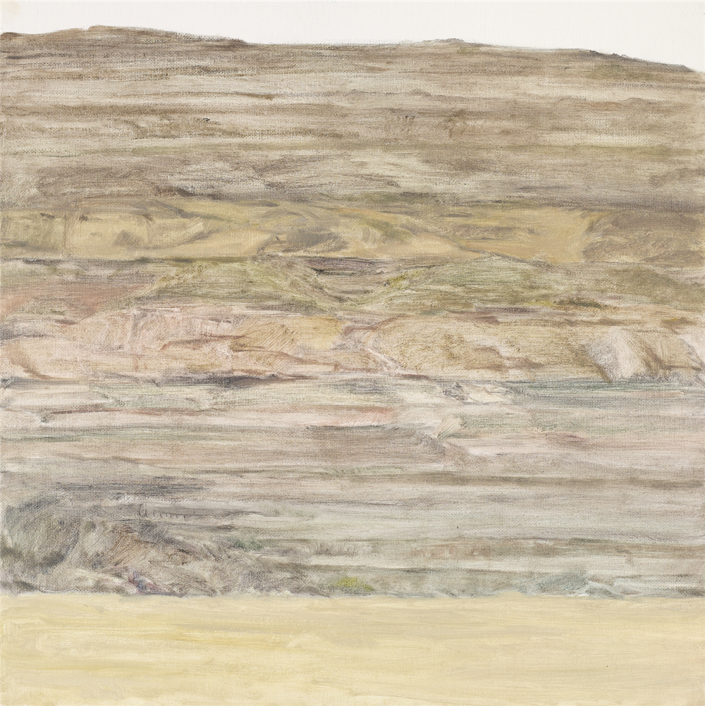 沈彬斌？黄石壁？2018年？布面油画？40cm×40cm.jpg
