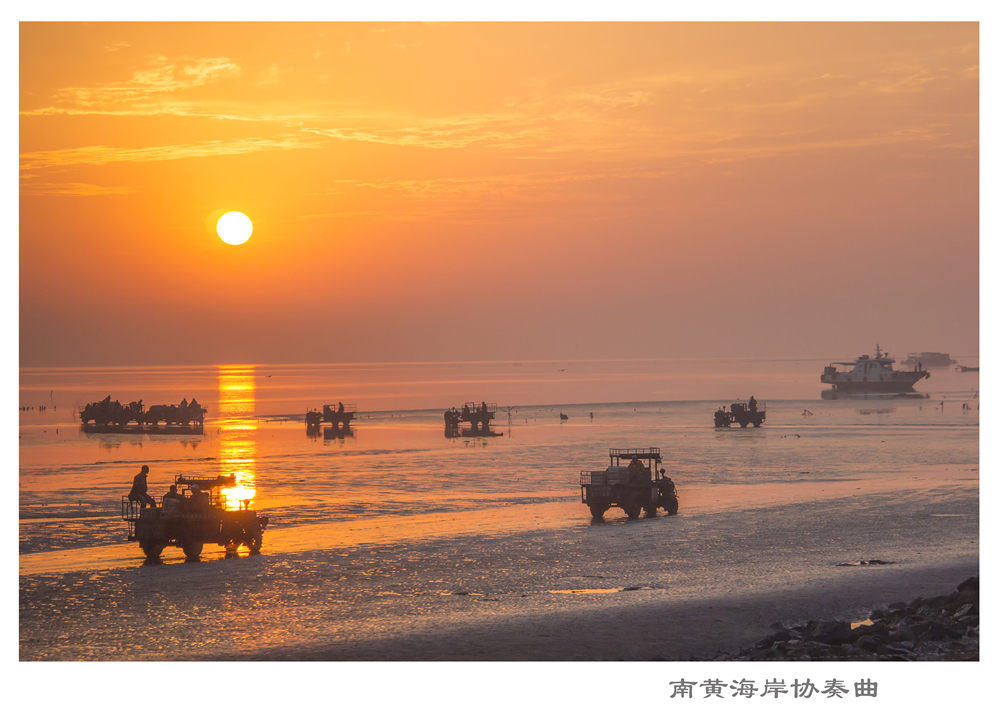《南黄海岸协奏曲》 宋丽萍.jpg