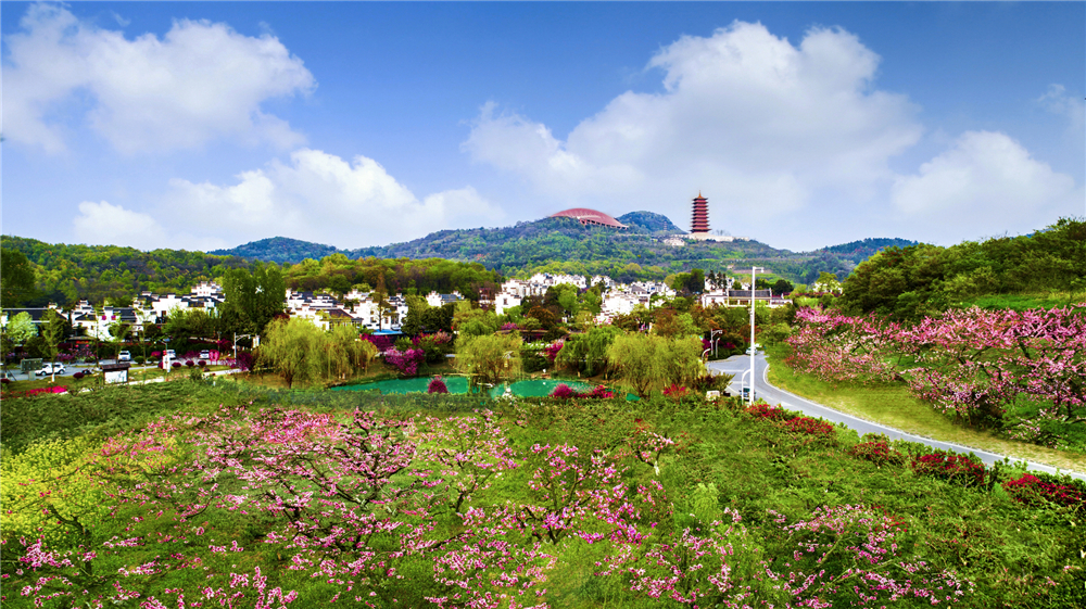 《生态家园美如画》+邵天武+2019年4月摄于南京江宁牛首山.jpg
