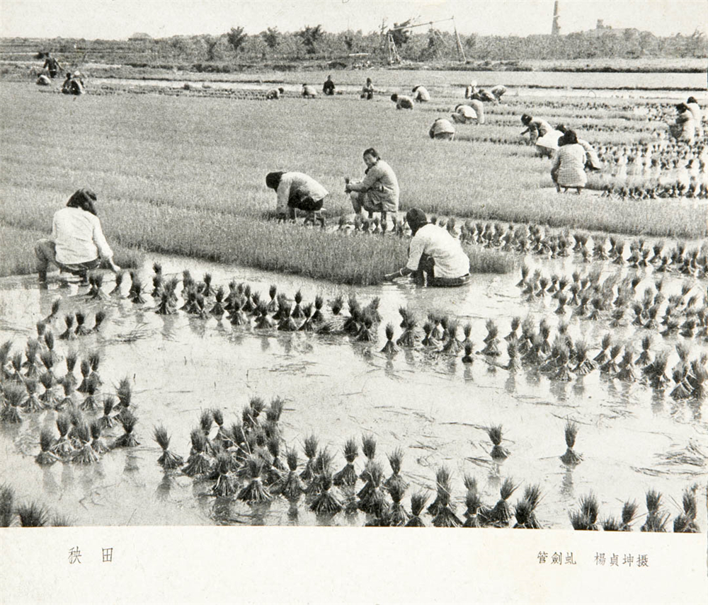 老照片江苏摄影史料——钟建明存-183.jpg