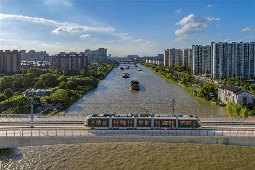 《大运河上新来客》丁嘉一.jpg