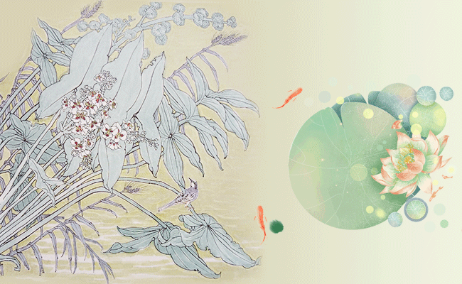 二十四节气.gif