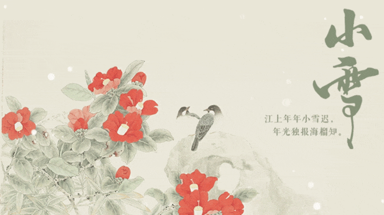 11月21日-(1) (1).gif